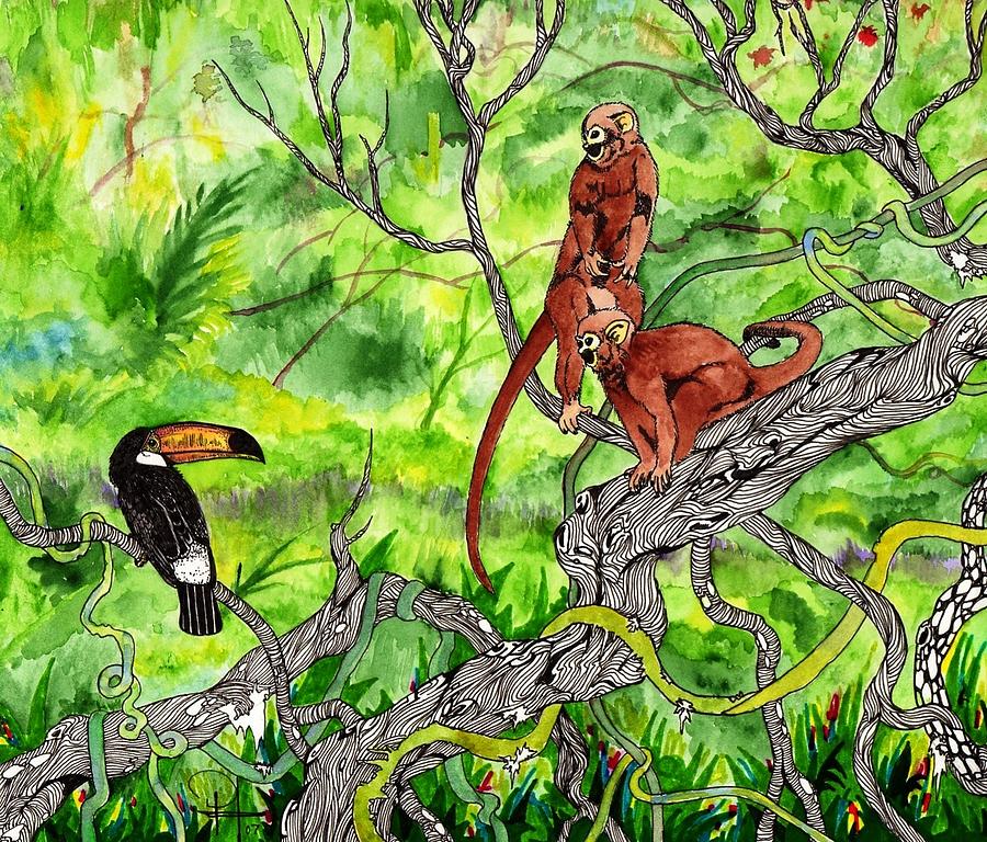 Monkey Drawing - Toucan and the 2 Monkeys by Doug Hiser