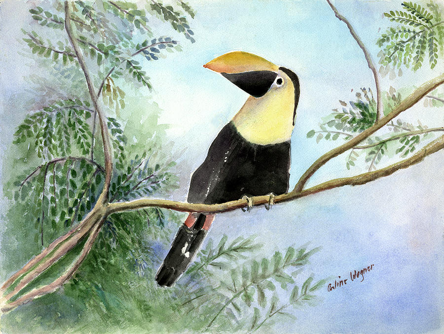Toucan Painting by Arline Wagner