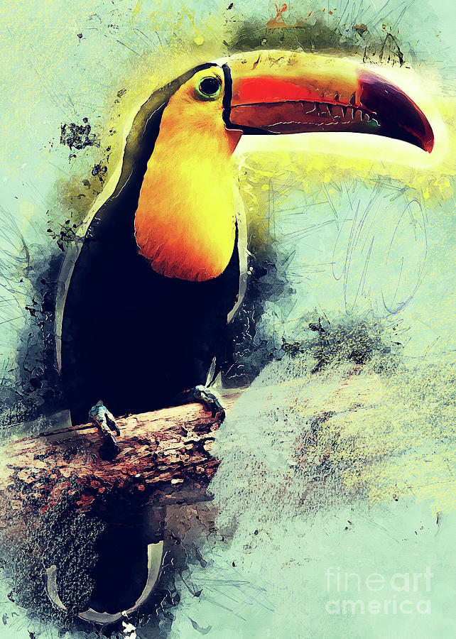 Toucan Art Digital Art