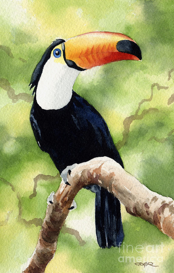 Toucan Painting - Toucan by David Rogers