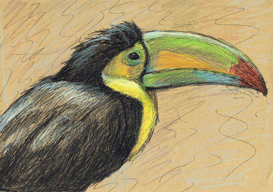 Toucan Painting by June Walker