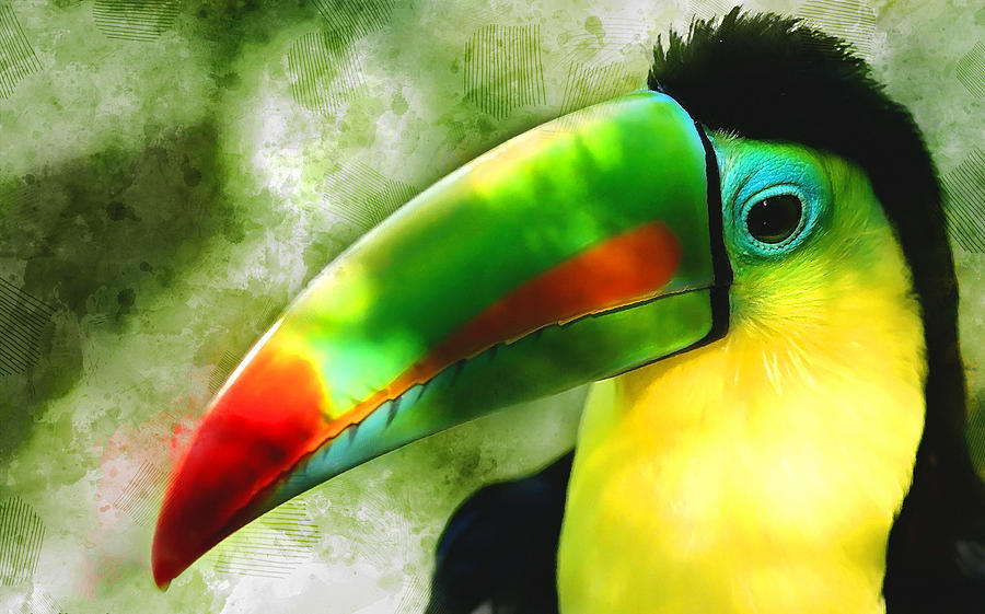 Toucan Love Mixed Media by Marvin Blaine