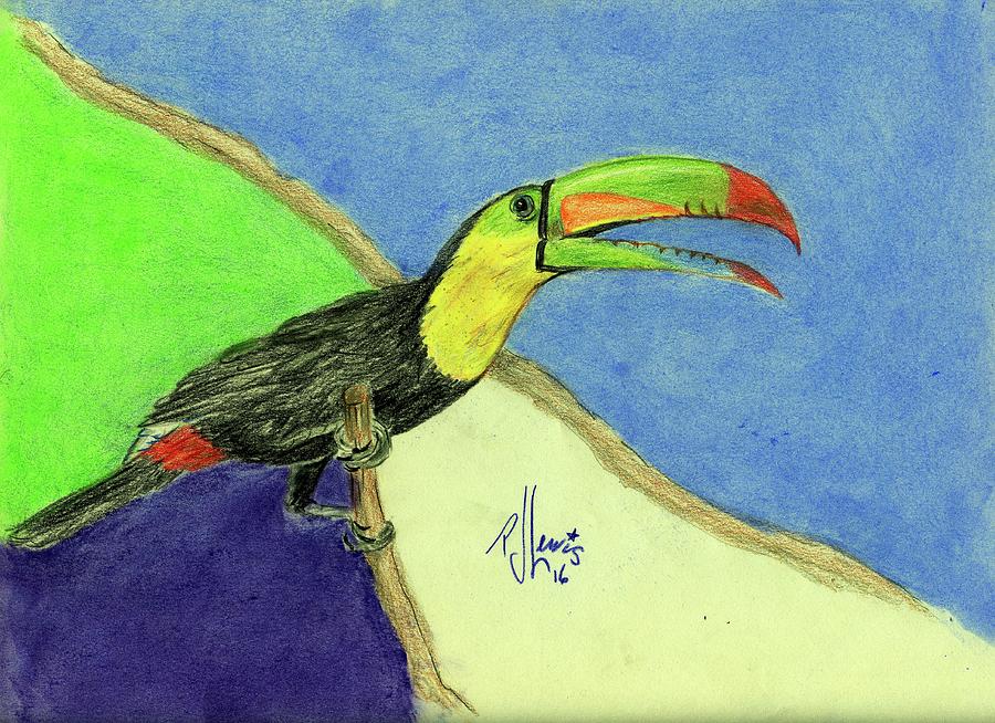 Toucan Drawing by PJ Lewis