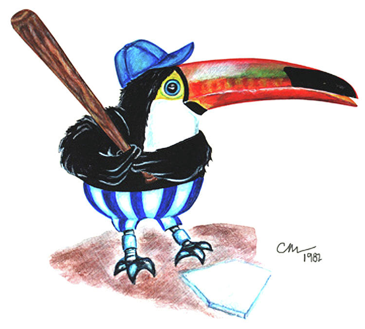 Toucan Play 1982 Painting by Christine McCole