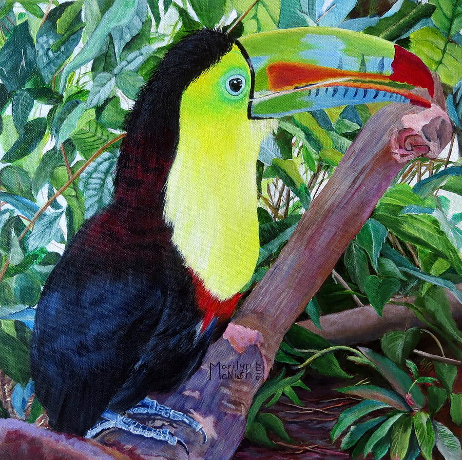Toucan Portrait 2 Painting by Marilyn McNish