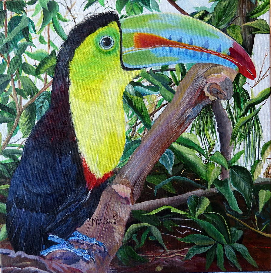 Toucan Portrait Painting by Marilyn McNish