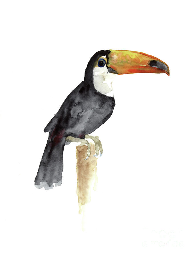 Black And White Painting - Toucan Watercolor Painting Tropical Bird Kids Playroom Art Prin by Joanna Szmerdt