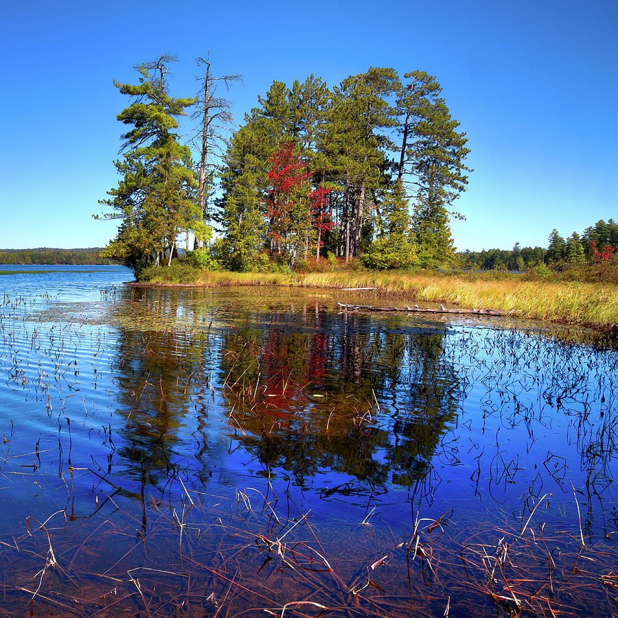 Touch of Fall on Raquette Lake Photograph by David Patterson