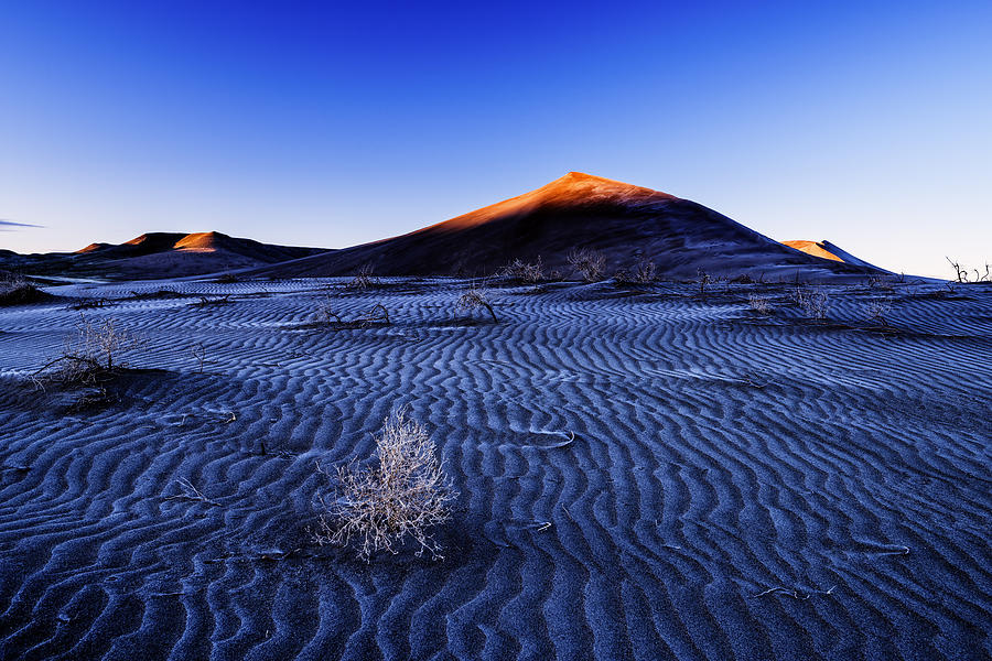 Touch of Light at Bruneau Dunes State Park in Idaho Photograph by Vishwanath Bhat