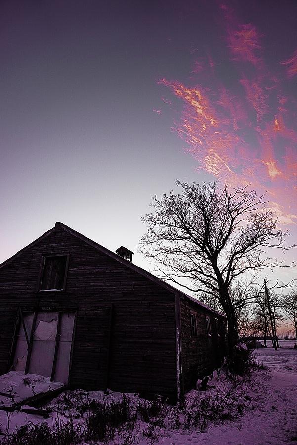 Touch of Pink - Wilkes Farm Photograph by Desmond Raymond