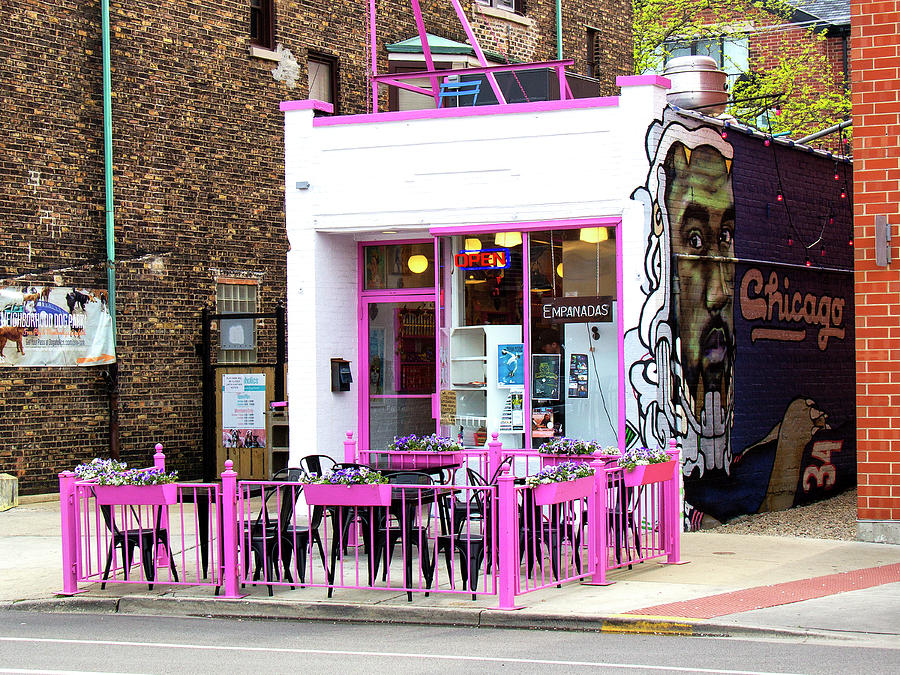 TOUCH OF PINK Empanadas From Chicago Photograph by William Dey