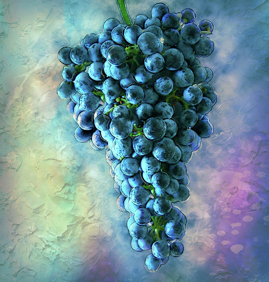 Touch Of The Grape 2 Painting by Jack Zulli