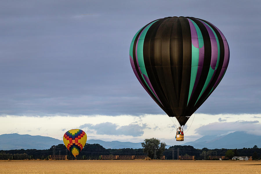 Balloon Touchdown Photograph by Catherine Avilez