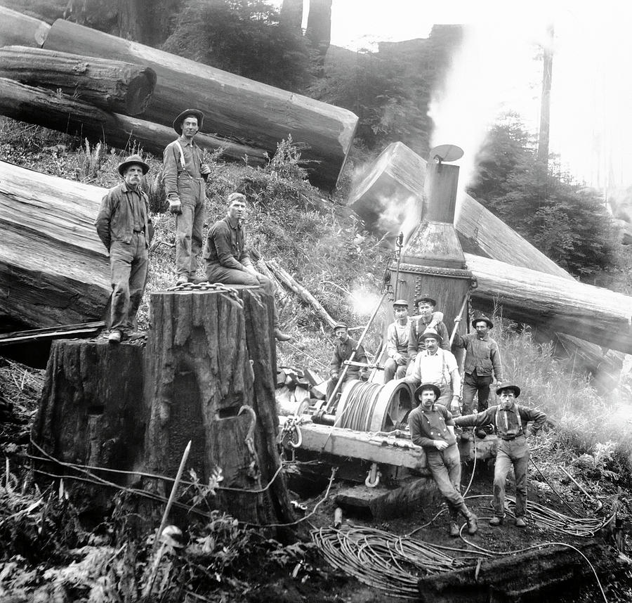 TOUGH AS NAILS LOGGING the REDWOODs c. 1890 Photograph by Daniel Hagerman