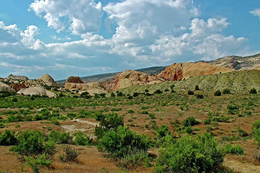 Tour of the Tilted Rocks in Dinosaur National Monument, Utah  Photograph by Ruth Hager