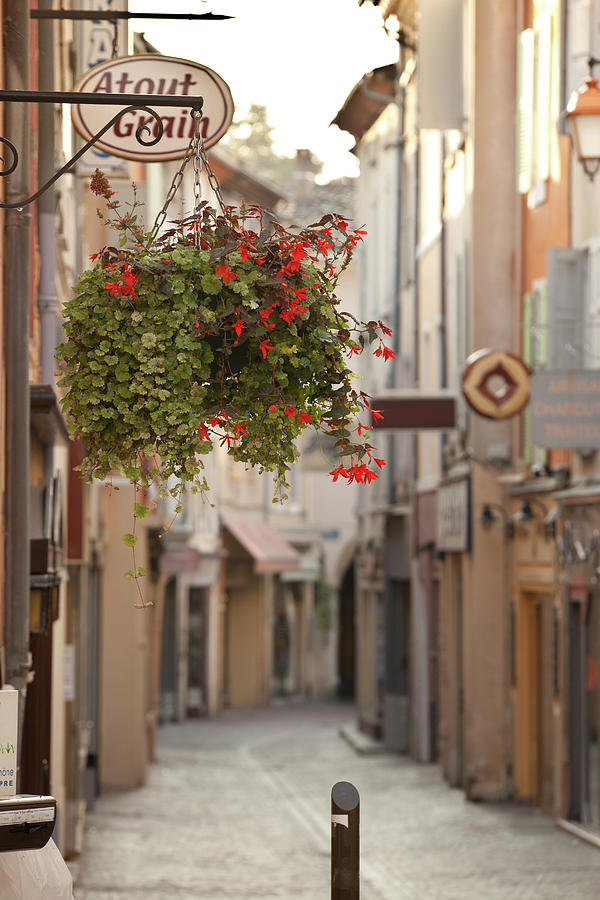 Tourbon France by John Magyar Photography Tourbon France by John Magyar Photography