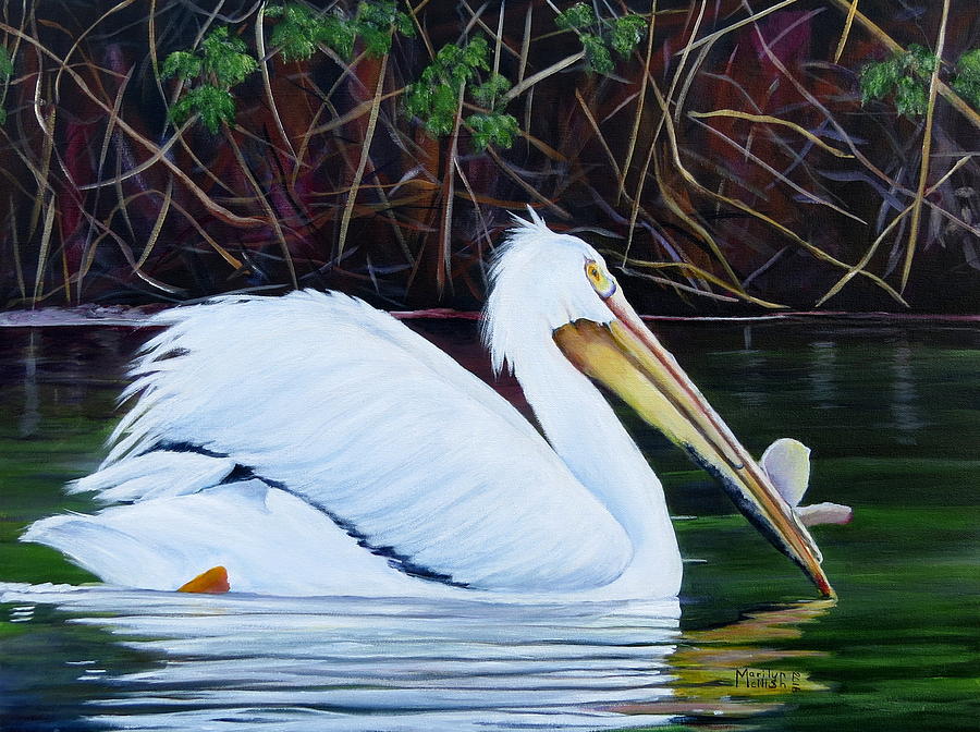 Touring Pelican Painting by Marilyn McNish
