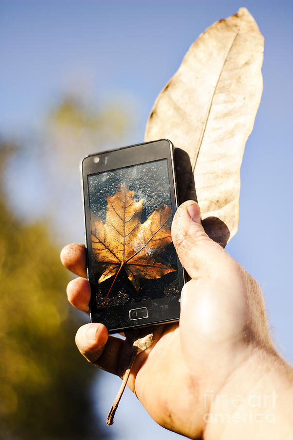 Tourist man holding autumn leaf and mobile phone Photograph by Jorgo Photography