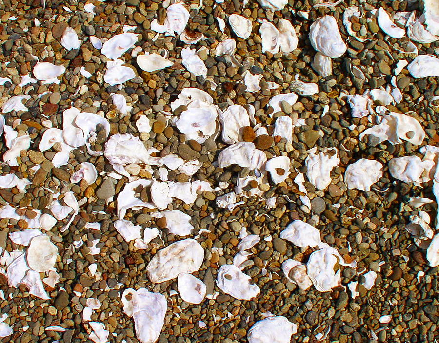 Shell Photograph - Towano Pebbles by Valerie Josi