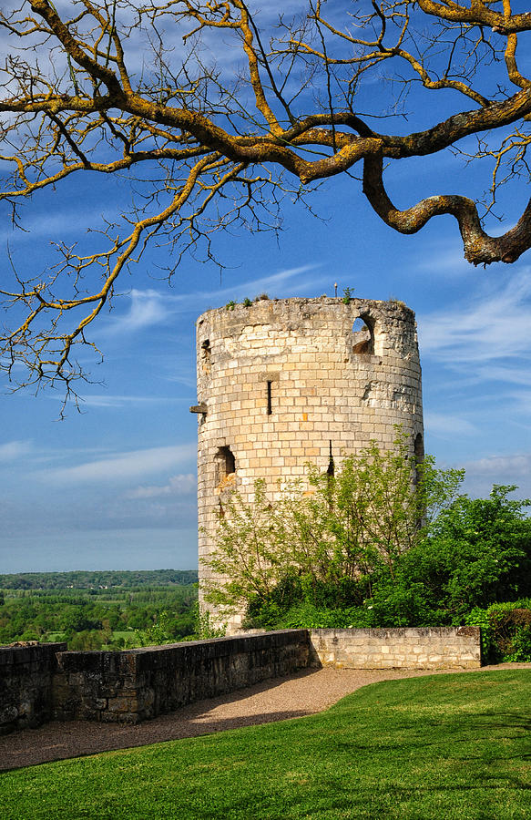 Tower At Chateau de Chinon Photograph by Dave Mills