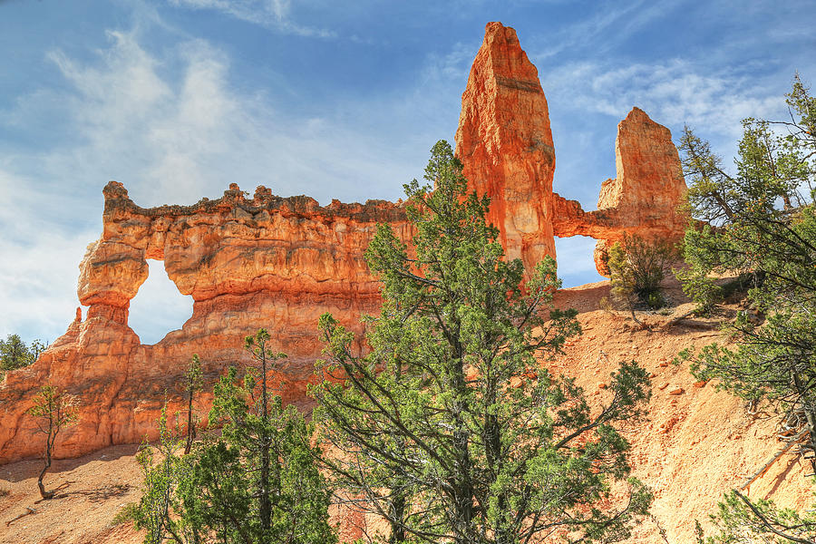 Tower Bridge At Bryce Canyon Photograph by Donna Kennedy