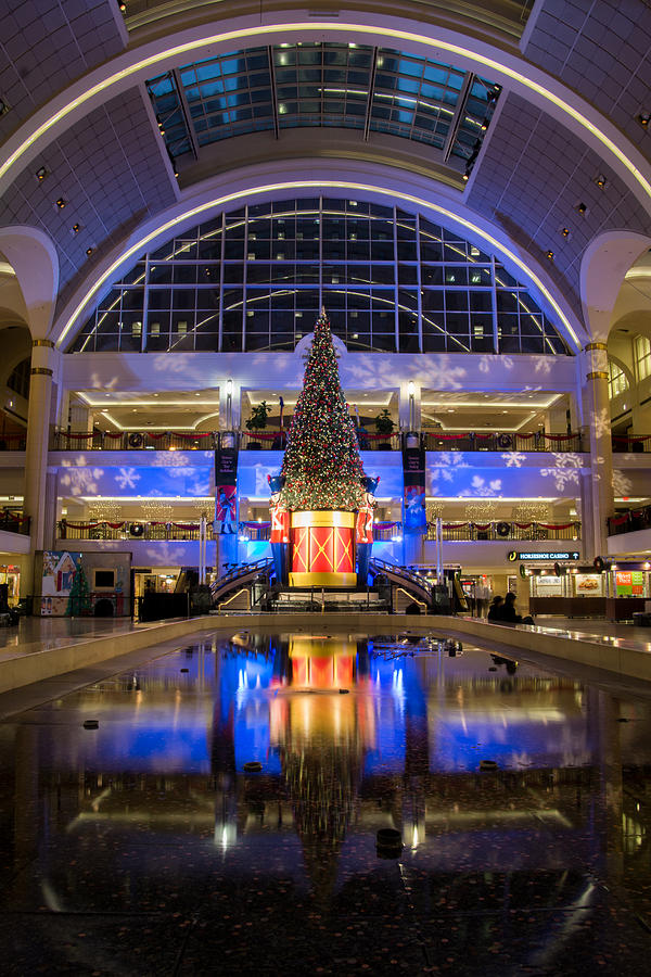 Tower City Christmas Tree Photograph by Sara Foss Pixels
