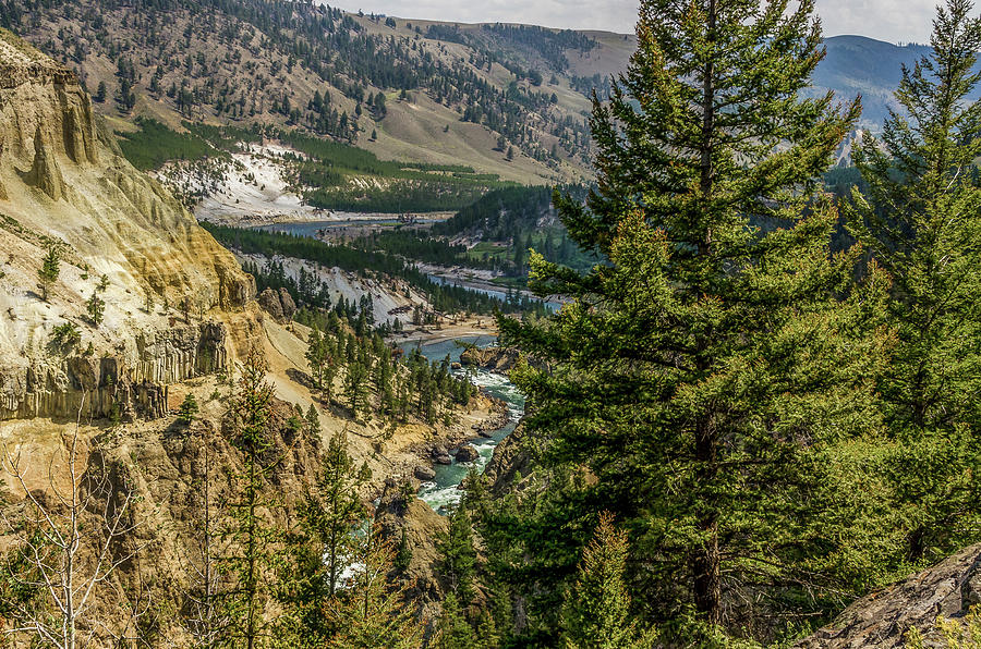 Tower Fall Canyon In Yellowstone Park Photograph by Yeates Photography