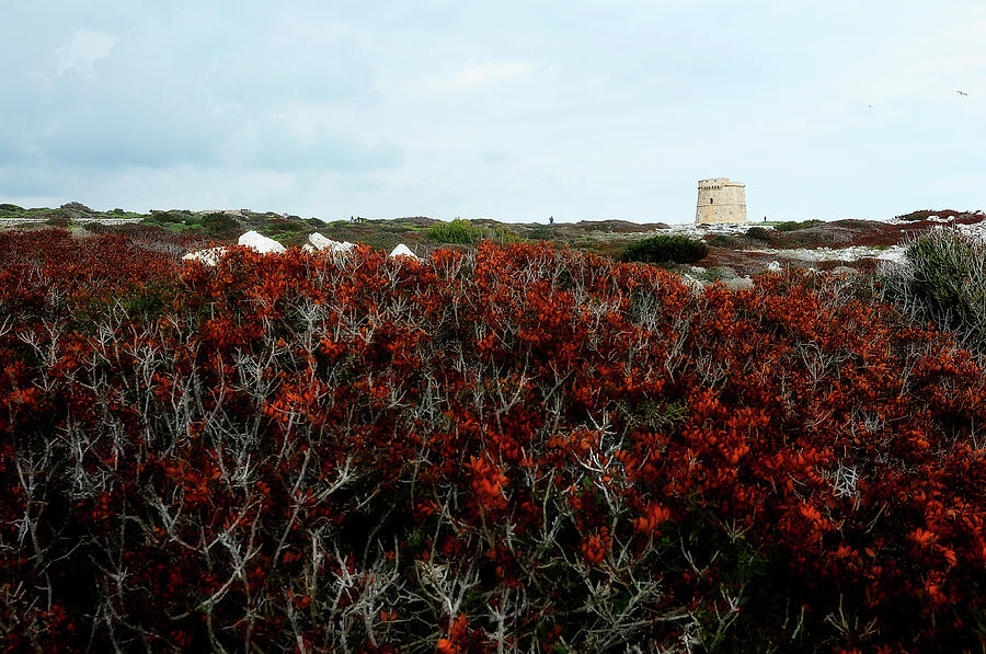Tower in red landscape Photograph by Pedro Cardona Llambias