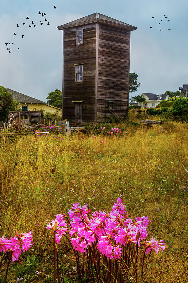 Tower Mendocino Photograph by Garry Gay
