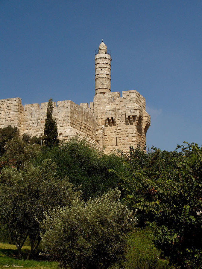 Tower of David in Jerusalem Photograph by Arik Baltinester