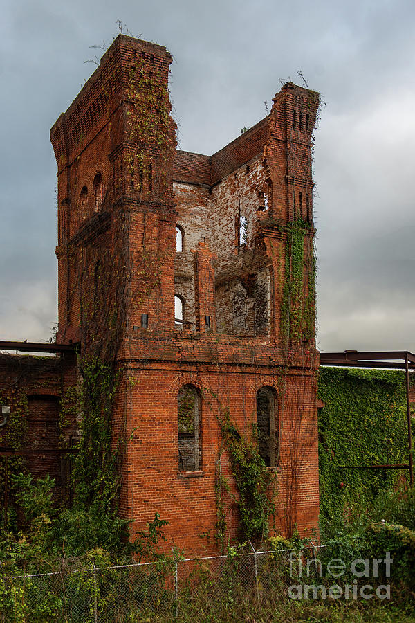 Tower of Ruins Photograph by Dale Powell