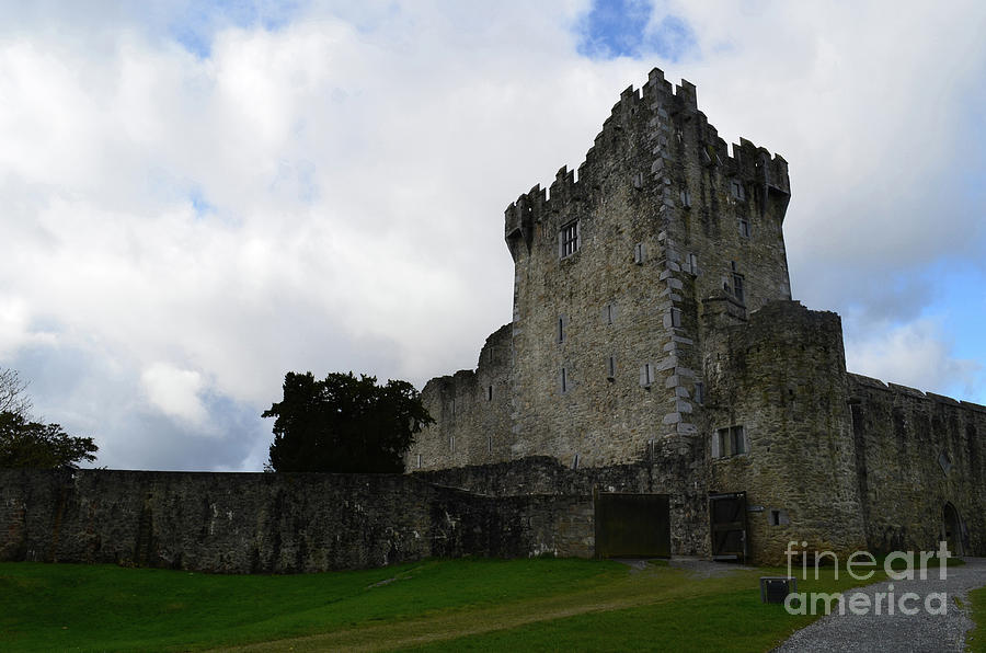 Tower Ruins of Ross Castle in Killarney National Park Photograph by DejaVu Designs
