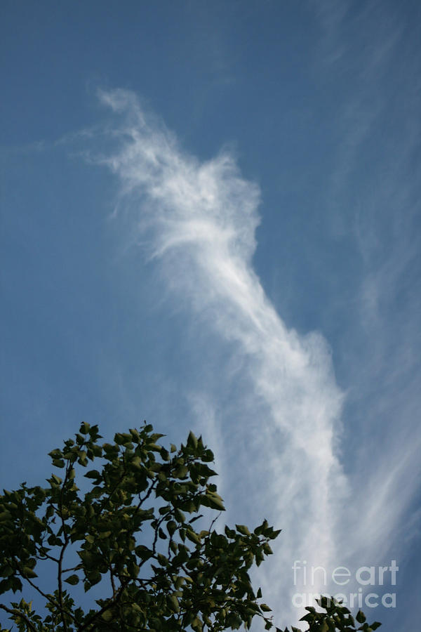 Clouds Photograph - Towering Cloud by Mary Mikawoz Clouds Photograph - Towering Cloud by Mary Mikawoz