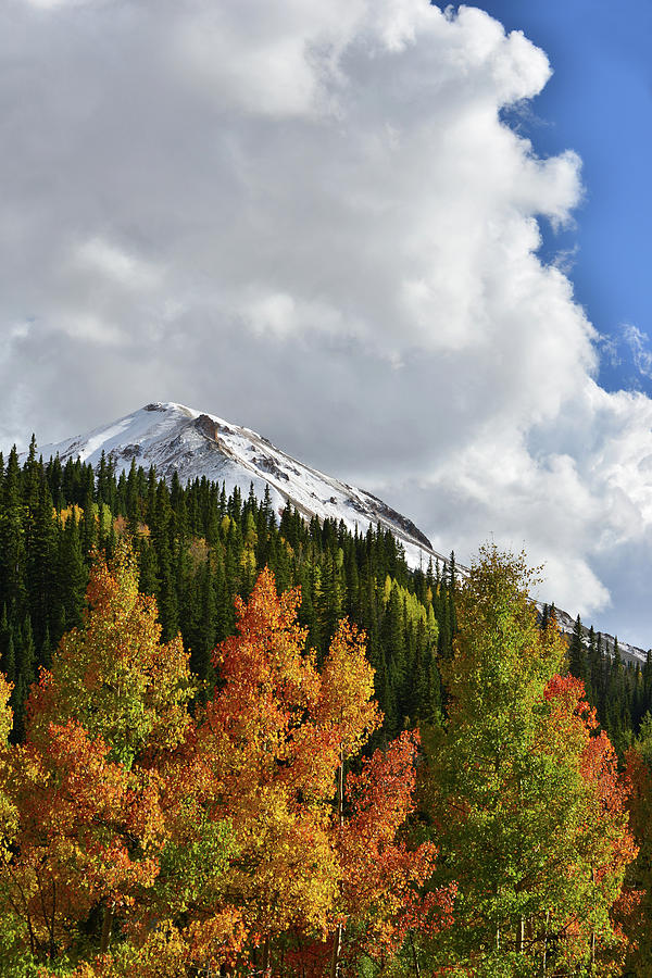 Towering Clouds Above Red Mountain and Aspens Photograph by Ray Mathis