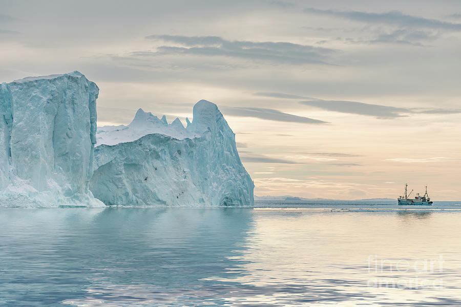Towering Icebergs Photograph by Richard Burdon