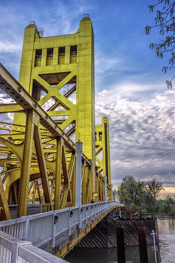 Sacramento Photograph - Towering by Marnie Patchett