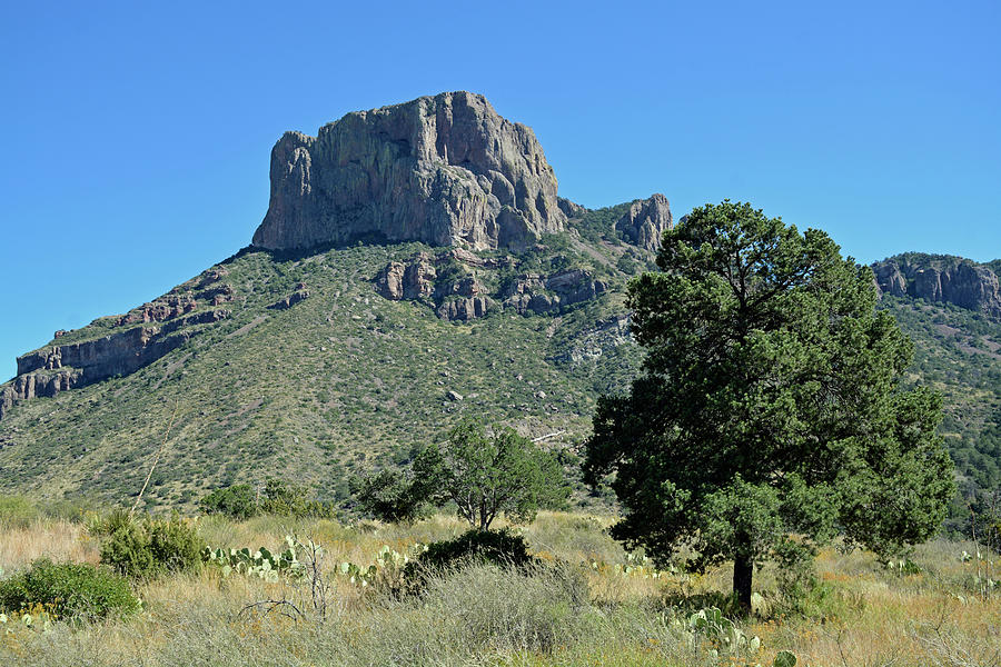 Towering Mountain in Big Bend Naitonal Park Photograph by Bruce Gourley