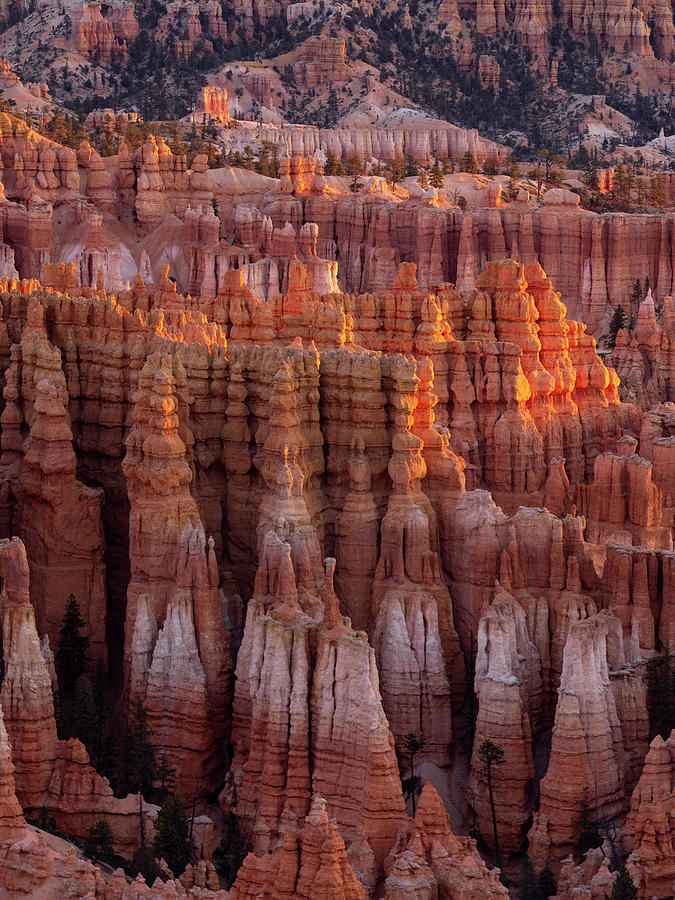 Towers of Bryce Photograph by Emily Dickey