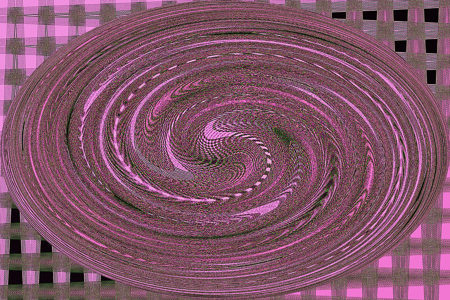   Town Lake Afternoon Light. Oval Pink Panel Abstract #7 Digital Art by Tom Janca