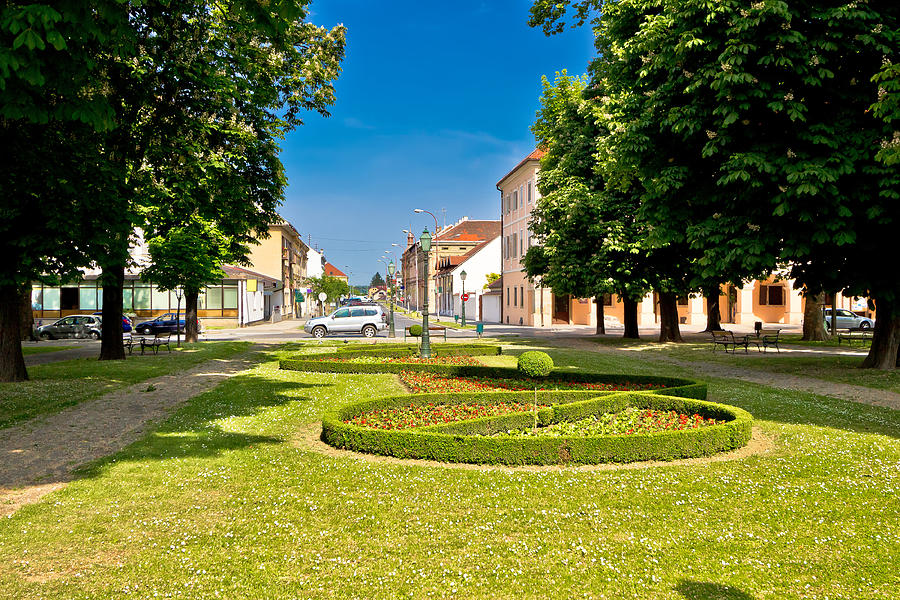 Town of Bjelovar park and square Photograph by Brch Photography
