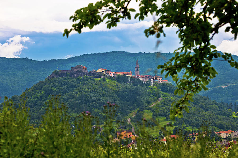 Town of Buzet on green hill Photograph by Brch Photography
