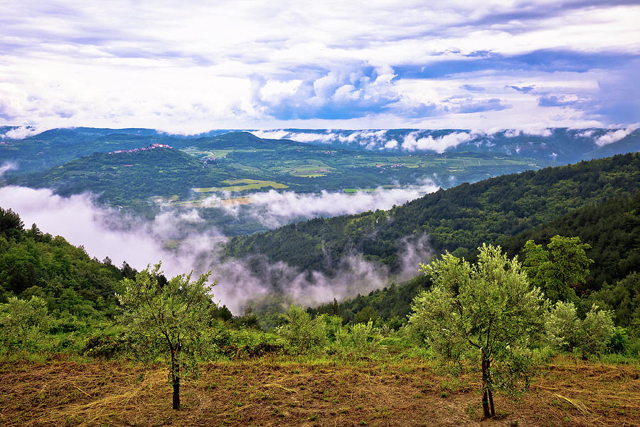 Town of Motovun landscape in fog Photograph by Brch Photography