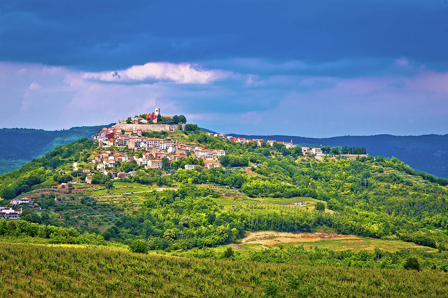 Town of Motovun on picturesque hill Photograph by Brch Photography