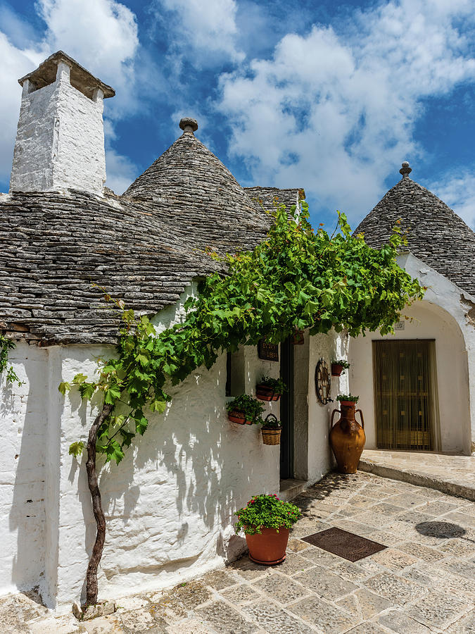 Town Of Trulli Photograph