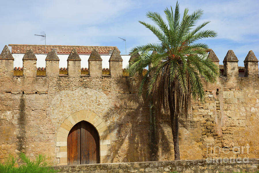 town wall of  Cordoba in  Spain Photograph by Anastasy Yarmolovich