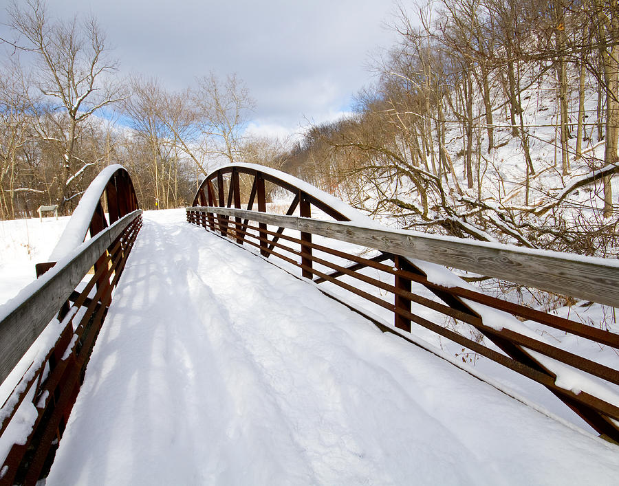 Towpath Bridge  Photograph by Tim Fitzwater