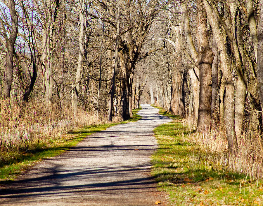 Towpath Trail Photograph by Tim Fitzwater
