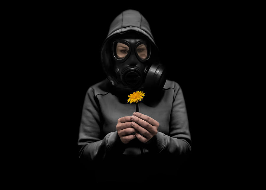 Flowers Still Life Photograph - Toxic Hope by Nicklas Gustafsson