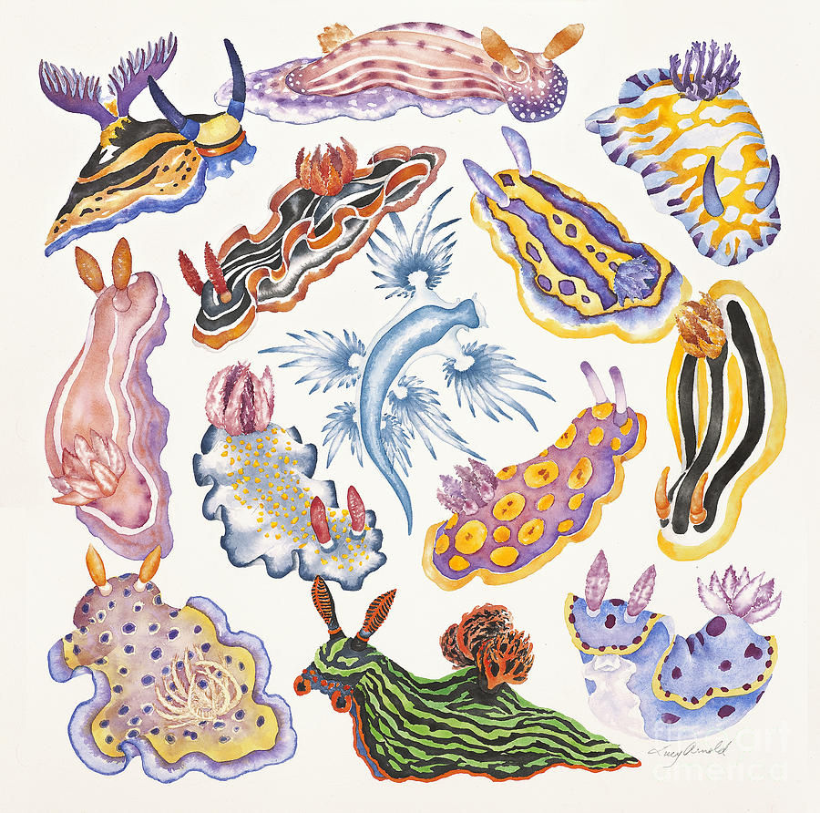 Toxic Tango I Sea Slugs Painting by Lucy Arnold