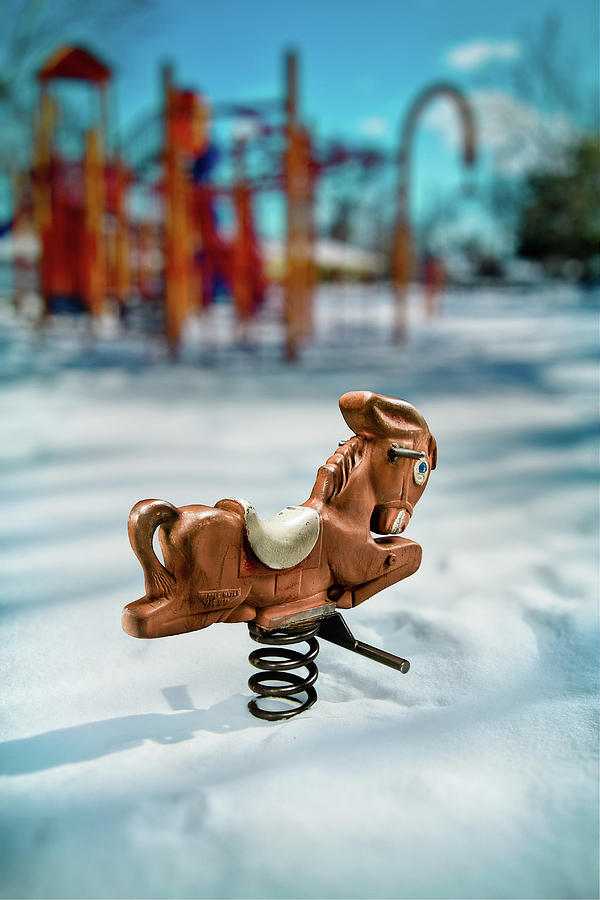 Toy Mule Photograph by Yo Pedro